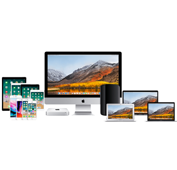 Sales & Services